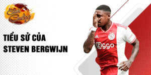 Tiểu sử của steven bergwijn
