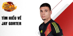 Tìm hiểu về jay gorter