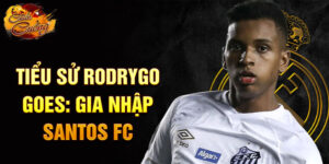 Tiểu sử rodrygo goes: gia nhập santos fc