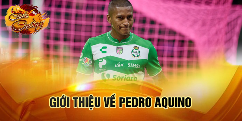 Giới thiệu về Pedro Aquino