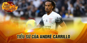 Tiểu sử của andré carrillo