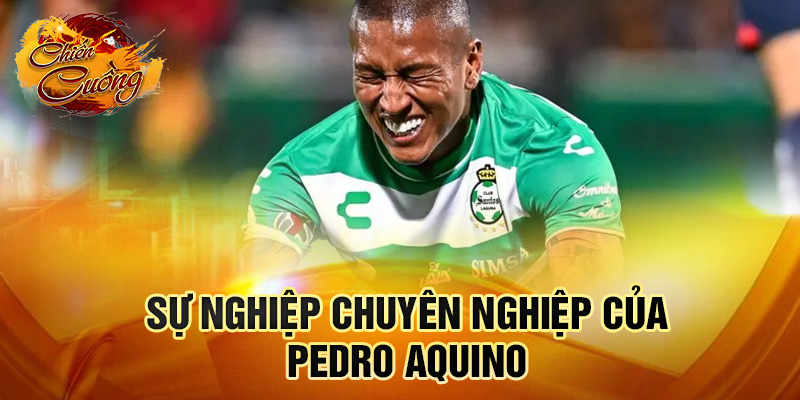 Sự nghiệp chuyên nghiệp của Pedro Aquino