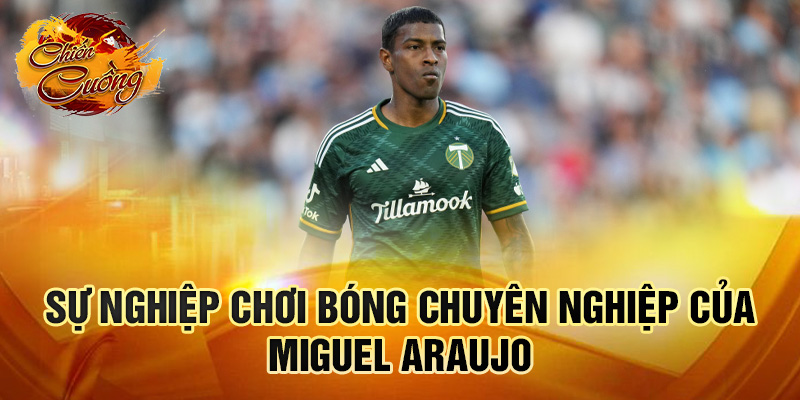 Sự nghiệp chơi bóng chuyên nghiệp của Miguel Araujo